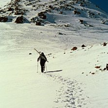 Foto: Linnea Axberg. &Aring;kare: Johan Lilljeqvist.