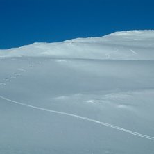 Foto: niklas oja. &Aring;kare: niklas oja.