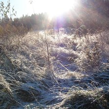 Foto: stina Vetrerg&aring;rd. &Aring;kare: s&auml;songens f&ouml;rsta sn&ouml;.