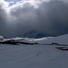 Foto: Hansi Elsbacher.