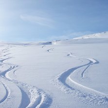 Foto: Anders Lundin.