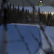 Pl&aring;tade med Henke harlaut i Br&auml;cke n&auml;r jag fick. Foto: Jesper Molin. &Aring;kare: ??.
