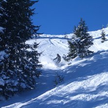 Foto: Vet ej. &Aring;kare: Morgan.