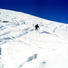 Foto: Bj&ouml;rn Hellstr&ouml;m. &Aring;kare: Been.