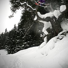 Jim p&aring; dj&auml;vuls stubben ^^. Foto: Jag. &Aring;kare: Jim.