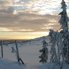 Foto: Emma H&ouml;gberg.