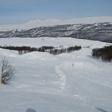 Foto: Fredrik Ohlsson.