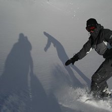 Surfing bird!!. Foto: Rydberg. &Aring;kare: Elin Nordh.