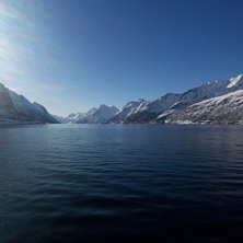 Foto: Frida Johansson.