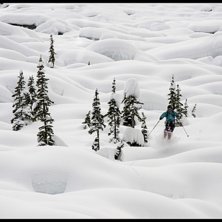 Mushroom People. Foto: Oskar Wagrelius. &Aring;kare: Joakim Erik Nilsson.