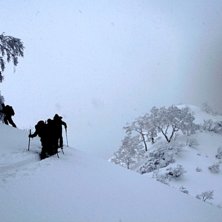 P&aring; tur bland puder och k&ouml;rsb&auml;rstr&auml;d. Foto: P&auml;r Blomqvist. &Aring;kare: Jonas, Christian och Rolf.