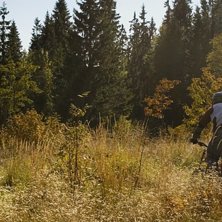 Foto: Jon R&ouml;nstr&ouml;m. &Aring;kare: patrik Nyr&eacute;n.