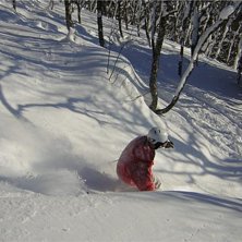 puder. Foto: Marcus L&ouml;fvenberg. &Aring;kare: Mattias L&ouml;fvenberg.