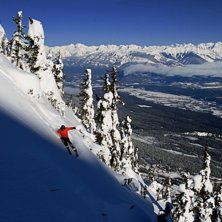 Brest&auml;ll i solen bak i T2.. Foto: Erik Pernestam (www.pernestam.se). &Aring;kare: Andrew.