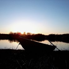 Morgon-Rodd &auml;r gott men kv&auml;lls-rodd duger bra.... Foto: ian Archibald.