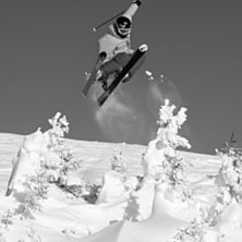 Borgen tar ett hopp &ouml;ver tr&auml;den.

Vill ni ser . Foto: Marcus Olsson. &Aring;kare: Niklas Bort.