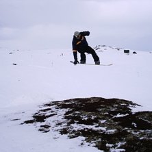 L&auml;ngtar redan tillbaka!. Foto: Anders Markus. &Aring;kare: Petter Torg&aring;.