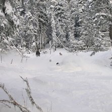 sk&ouml;nt dyk .. Foto: viktor thunell. &Aring;kare: mikael risberg.