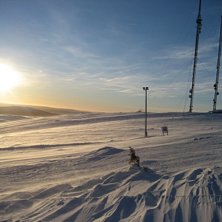Perfekt skiddag i Dundret!. Foto: Alex karlsson.