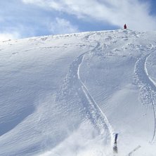 fin vurpa. Foto: Jonatan Linsmeier. &Aring;kare: Joel Lundin.