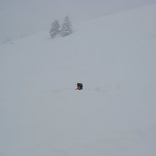 Deep. Foto: Mattis Kaysen Petersen.