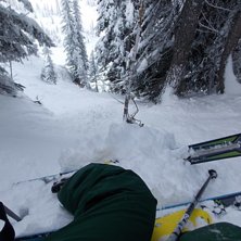 Revelstoke Mountain Foto