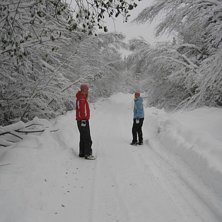 Massor med h&auml;rlig sn&ouml; i oktober!!. Foto: Maria Lidfors. &Aring;kare: Eilert o Nina.