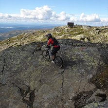 Foto: M.St&aring;l Sj&ouml;berg. &Aring;kare: Per Jonsson.