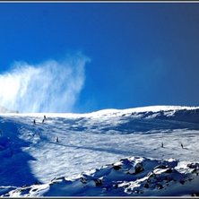 Foto: Pontus Willegard.