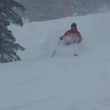 Under ett kraftigt sn&ouml;dump hittade vi en skogsrep. Foto: Ulf Nilsson. &Aring;kare: M&aring;ns ekstr&ouml;m.