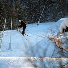 1 true nose. Foto: Yngve Staberg. &Aring;kare: Niklas Eriksson.