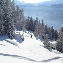 Vecka 8 &auml;ntligen h&auml;r. Lekar i skogen under tv&aring;a. Foto: Martin Berg. &Aring;kare: Simon Bergman.