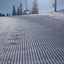 Siste skidag denne sesongen...
P&aring; siste skidag de.