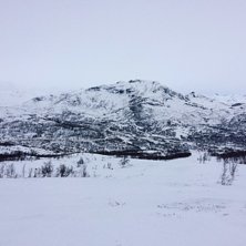 L&oslash;rdag 25.2

B&oslash;rren&oslash;sheisen, barneomr&aring;det &aring;p.