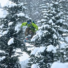 Dancing with the pines

- Daniel Kemnitz.