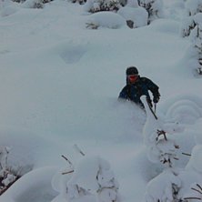 Offpist &aring;k bland grantopparna.. Foto: Australien Michie. &Aring;kare: Jens Blomberg.