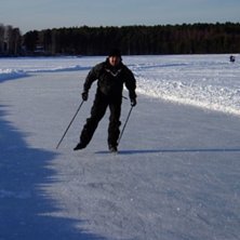 Foto: Nisse fisk. &Aring;kare: Bulan.