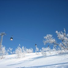 &Aring;re 06.