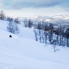 3. april
Vi har fremdeles flotte forhold i alle l�.