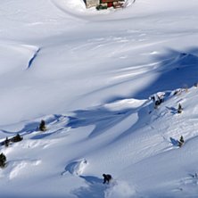 Foto: Svein Olav Aalgaard. &Aring;kare: &Oslash;yvind Svendsen.