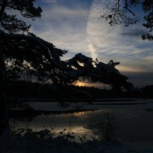 En vecker solnedg&aring;ng i slutet av vintern.  Med li. Foto: Alexander Ovinder.