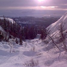 Helt ok &aring;kning i Duved, bara att de var r&auml;tts&aring; . Foto: Andreas H&auml;ll.