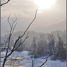 Foto: Andreas Gustavsson.