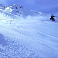 N&aring;gra dar efter sn&ouml;fall, fint.... Foto: Martin Ivarsson. &Aring;kare: Fredrik Karlsson.