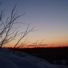 Foto: Fredrik Hagtorn.