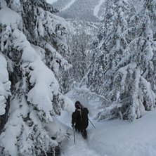 Foto: Stefan Undvall. &Aring;kare: Per Wilhelmsson.