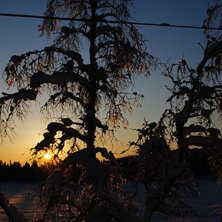 Foto: Linn .