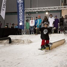 Winter Show i Kungstr&auml;dg&aring;rden 2014.. Foto: Hedda Berander.