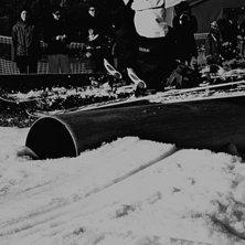 Foto: Gustav Hellman.