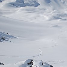 Foto: Kristoffer Svensson. &Aring;kare: Leo Alsved.
